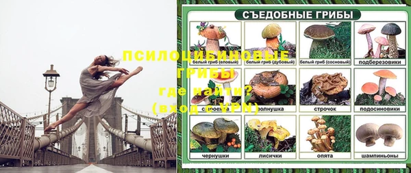 герыч Лиски