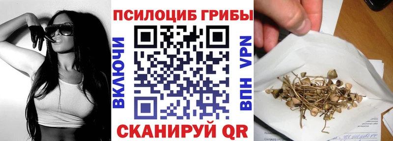 Купить где  Дубовка  Псилоцибиновые грибы Psilocybe 