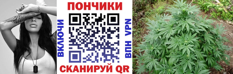 Бошки Шишки AK-47  Купить закладки  Дубовка 